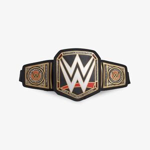 Igloo WWE Black and Gold Championship Fanny Pack Belt NEW Holds 4 Drinks!